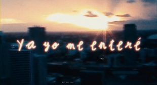 Lyrics of BRINCAR Song