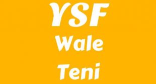 YSF Lyrics
