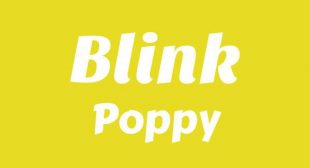 Lyrics of Blink Song