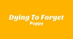 Dying To Forget Lyrics