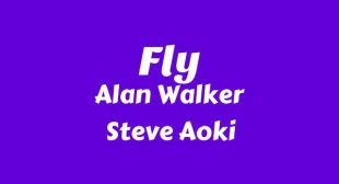 Fly Song Lyrics