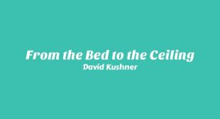 From the Bed to the Ceiling Song Lyrics