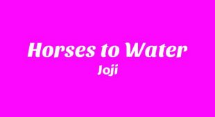 Horses to Water Lyrics – Joji