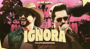 Ignora (Ao Vivo) (English Translation) Lyrics