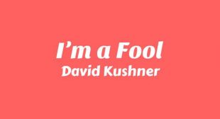 I’m a Fool Song Lyrics