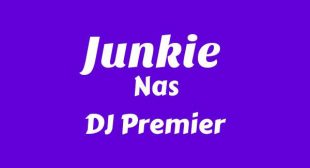 Lyrics of Junkie Song