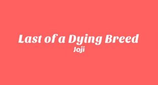 Lyrics of Last of a Dying Breed Song