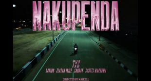 Lyrics of Nakupenda Song