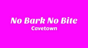 No Bark No Bite Lyrics – Cavetown