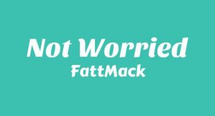 Lyrics of Not Worried Song