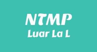 Lyrics of NTMP Song