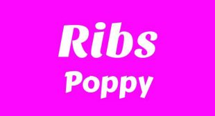 Lyrics of Ribs Song