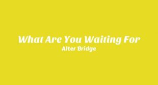 Lyrics of What Are You Waiting For Song