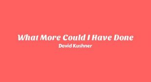 What More Could I Have Done Lyrics – David Kushner