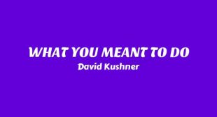 WHAT YOU MEANT TO DO Lyrics