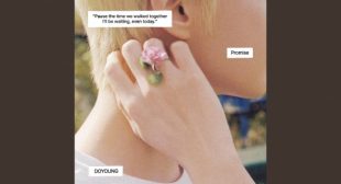 Lyrics of Whistle Song