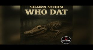 Who Dat (Masicka Diss) Lyrics – Shawn Storm