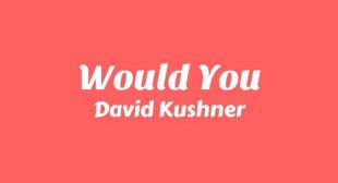 Would You Lyrics – David Kushner
