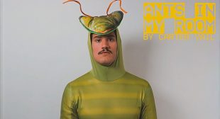 Lyrics of Ants In My Room Song