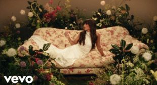 Dandelion Song Lyrics