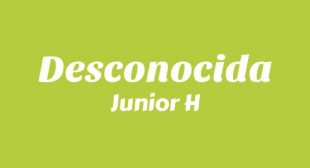 Desconocida Lyrics
