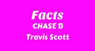 Facts Song Lyrics