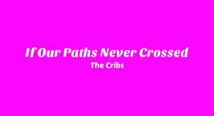 Lyrics of If Our Paths Never Crossed Song
