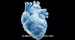LES MAINS DEDANS Song Lyrics