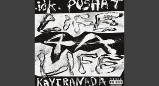 LiFE 4 A LiFE Lyrics – .idk.