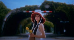 Limoncello Song Lyrics