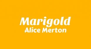 Marigold Lyrics – Visions