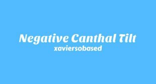 Lyrics of Negative Canthal Tilt Song
