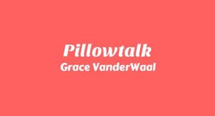 Lyrics of Pillowtalk Song