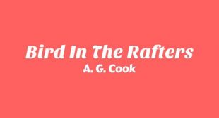 Bird In The Rafters Lyrics – The Moment (The Score)