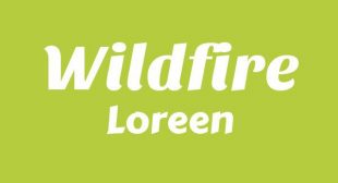 Wildfire Song Lyrics