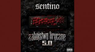 Lyrics of NIE MOGĘ SPAĆ Song