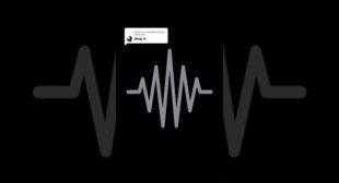 Tw0 Faced Lyrics – PHAZON VARIA