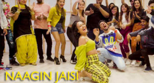Naagin Jaisi Lyrics – Tony Kakkar