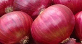 Order Online Onion suppliers in Mexico