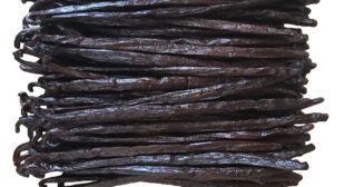 High quality Madagascar vanilla beans at wholesale prices