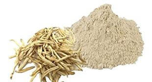 Buy safed White musli powder at best price