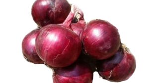 Buy Onions from Online Suppliers in Bulk & Prolong their Usage by Storing Rightly