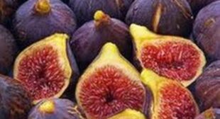 Purchase Healthy and Nutrition-Rich Food, Figs from Supplier