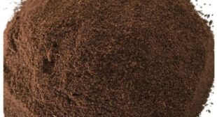 Prepare Homemade Vanilla Bean Powder to Get Natural Skin Glow