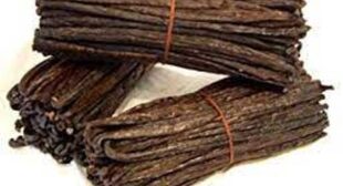 Madagascar Vanilla Beans: Premium Beans with Creamy & Buttery Flavor