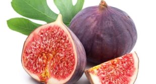 Purchase Fresh Figs from Supplier to Reduce your Weight Naturally