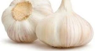 Buy Garlic from Suppliers to Favor your Heart and Overall Health