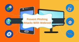 What Steps Can You Take To Prevent Phishing Attacks From Happening?