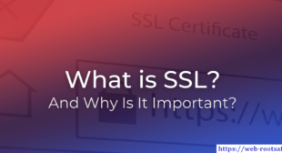 What Is SSL? Why is it Important for Websites? Webroot.com/safe