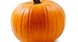 Squash Suppliers Selling Summer And Winter Squash